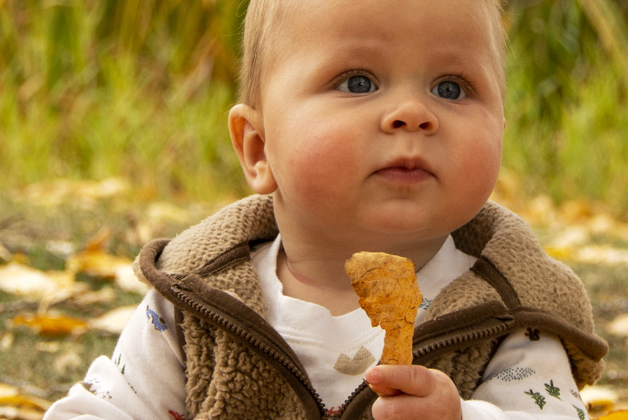 Blue-eye-baby-with-leaf-in-his-hand